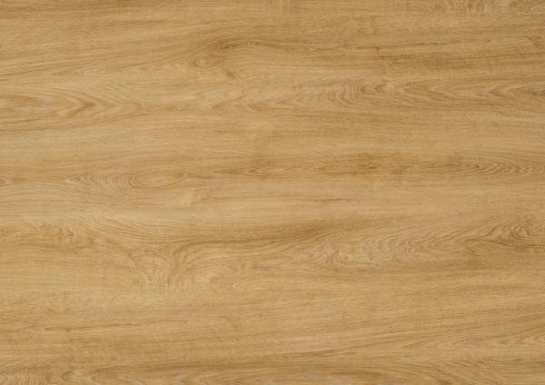 Turner oak (ITPANEL*)